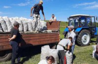 У «Садах Перемоги» Лихівської громади зібрали перші 15 тонн картоплі