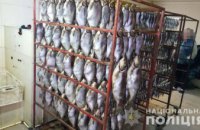 ​Под Днепром мужчина организовал подпольное производство копченой и вяленой рыбы (ФОТО)