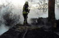 ﻿На Днепропетровщине при пожаре в собственном доме погиб мужчина