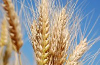 Цена на пшеницу в Украине упала до минимума с апреля 2007 года