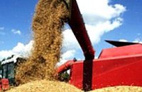 Украина собрала около 40 млн. т зерновых 