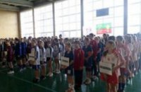 Школьницы из Терновки и Кривого Рога будут представлять область на всеукраинских соревнованиях по гандболу