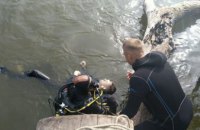 Ушёл из дома и не вернулся: в Синельниково вытащили из пруда тело 16-летнего мальчика 