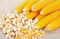 ​В Украину пытались провезти более 60 тонн зараженной кукурузы из США