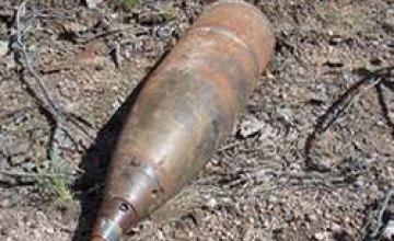 Житель села Новоивановка нашел боевой снаряд