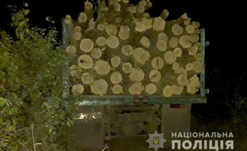 На Днепропетровщине задержали бывшего зека за незаконную вырубку леса