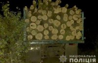 На Днепропетровщине задержали бывшего зека за незаконную вырубку леса