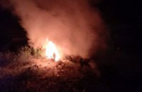 В Днепре ночью сгорела припаркованная легковушка (ФОТО)