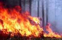 В Днепропетровской области – новый масштабный лесной пожар: горит лес под Павлоградом (ВИДЕО)