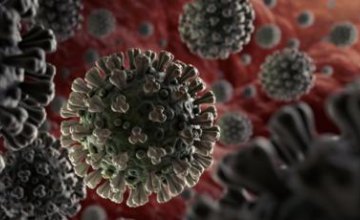 В НАН Украины разрабатывают отечественные тест-системы на коронавирус
