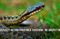 Цьогоріч на Дніпропетровщині зафіксували три випадки укусів отруйними зміями 