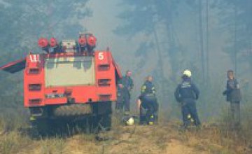 В Днепропетровской области горит лес 