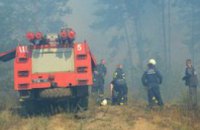 В Днепропетровской области горит лес 