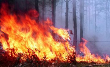К тушению лесного пожара под Павлоградом привлекли авиацию (ВИДЕО)