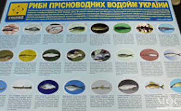 В Днепропетровске выпустили плакат для школьников с фотографиями рыб (ФОТО)