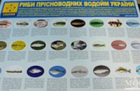 В Днепропетровске выпустили плакат для школьников с фотографиями рыб (ФОТО)