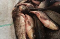 На Днепропетровщине задержали браконьера с тремя мешками рыбы
