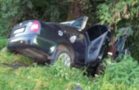 ДТП в Полтавской области: в результате столкновения грузовика с легковым автомобилем погибли 3 человека (ФОТО)
