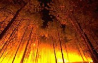 В Днепропетровской области сгорело 100 га леса