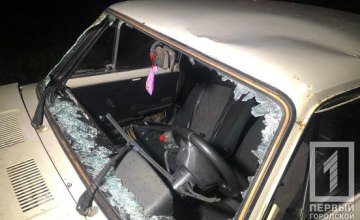 ​Пробил лобовое стекло и пролетел над крышей: на Днепропетровщине сбили пешехода
