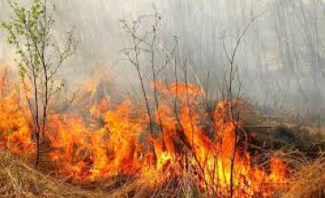 За минувшие сутки на Днепропетровщине произошло более 20 пожаров в экосистемах