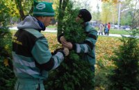 Обгортання хвойних, внесення добрив та випробовування техніки: дніпровські парки готують до зими