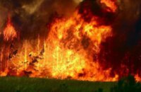 В США дети сожгли заповедник, чтобы посмотреть на работу пожарных 