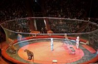 Около 400 детей сотрудников Павлоградского химзавода посетили цирковое представление «В королевстве цирка» (ФОТОРЕПОРТАЖ)
