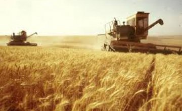 В Днепропетровске разоблачена деятельность фиктивных предприятий, продавших за границу зерна на 300 млн грн