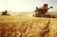 В Днепропетровске разоблачена деятельность фиктивных предприятий, продавших за границу зерна на 300 млн грн