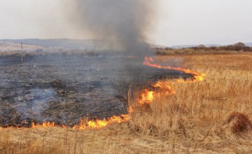 За неделю на Днепропетровщине произошло более 70 пожаров в экосистемах