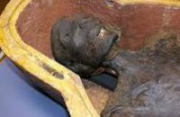 В Ливерпуле мумия в багажнике машины спугнула автомобильного вора