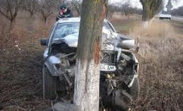 В Днепропетровской области водитель врезался в дерево
