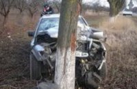 В Днепропетровской области водитель врезался в дерево