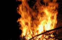 С начала года в Днепропетровске произошло 60 пожаров в парковых зонах