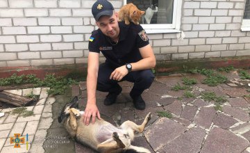 Спасатели Днепропетровской области провели акцию поддержки бездомных животных (ФОТО)