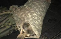 В Каменском полицейские спасли раненую собаку, лежащую на обочине дороги