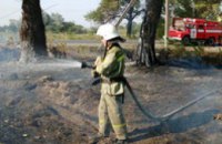 Днепропетровская область: продолжается ликвидация пожаров в экосистемах (обновлено)