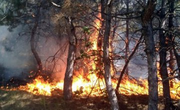 Днепропетровщина является лидером по количеству пожаров в экосистемах, - ГУ ГСЧС в области