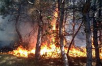 Днепропетровщина является лидером по количеству пожаров в экосистемах, - ГУ ГСЧС в области