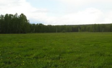 В Днепропетровской области чиновник требовал взятку за выделение земельного участка 
