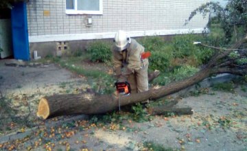 На Днепропетровщине спасатели убрали аварийное дерево из двора дома