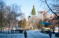28 декабря в парке им. Глобы откроется главная Городская елка