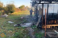 В Подгородном случился пожар в результате которого погибло 10 домашних животных 
