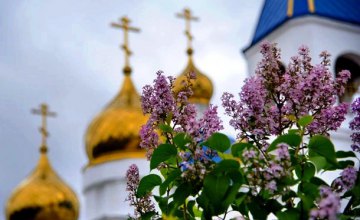 Владимир Зеленский призывает праздновать Пасху без похода в церковь