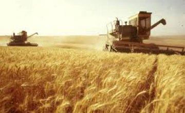 На Днепропетровщине собрали на 420 тыс тонн ранних зерновых больше, чем в прошлом году