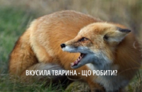 Цьогоріч на Дніпропетровщині зареєстрували 22 випадки сказу серед тварин