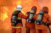 Спасатели Днепропетровской области уехали тушить пожары в Израиль (ВИДЕО)