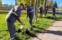 АТ "Дніпропетровськагаз" висадило в Царичанці перші зелені насадження в рамках проєкту «Дерево життя» (ФОТО) 