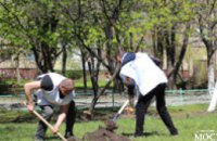 В Днепре активисты высадили более 200 молодых деревьев в рамках акции «Посади дерево – спаси город!»